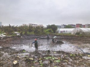 讷河河道鱼塘清淤